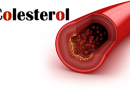 Abecé del Colesterol